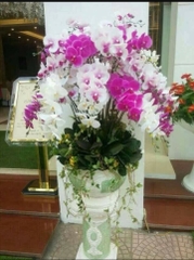Hoa giả - Bình hoa lan cao su 1
