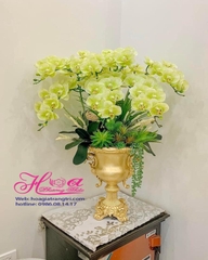Bình hoa Phong lan vàng xanh
