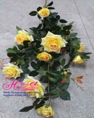 Cây hoa hồng vàng HC222