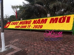 Thảm hoa chúc mừng năm mới