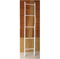 Ladder3