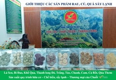 CÁC SẢN PHẨM: RAU, CỦ, QUẢ SẤY LẠNH, NGHIỀN BỘT VFARM