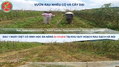 Diệt cỏ sinh học đa năng của Nâng tầm giá trị Việt