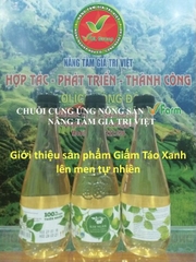 Giấm Táo Xanh VFARM