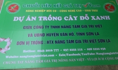 TRÀ MẦM ĐẬU XANH VFARM