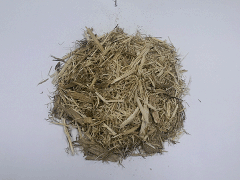 SUGARCANE BAGASSE