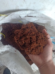 COCOPEAT - COCOPEAT BLOCK