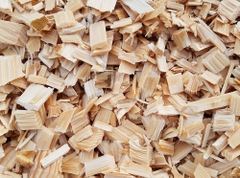 ACACIA WOOD CHIP - EUCALYPTUS WOOD CHIP