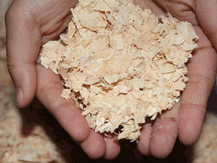 WOOD SHAVINGS