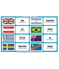 Combo FLASHCARD cờ các quốc gia trên thế giới - khổ A5