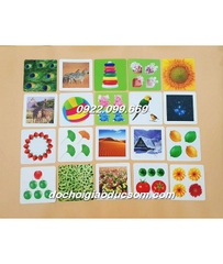 Thẻ flashcard kích thích thị giác khổ to 21cm chống lóa mắt cao cấp - Bộ  mầu sắc 4 (bìa hoa)