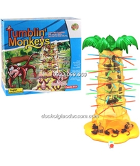Tumbling Monkey Rút que động khỉ