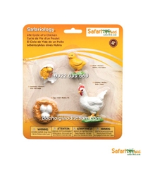 Mô hình Safari - Vòng đời gà trứng