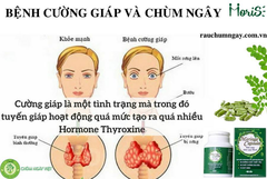 Dùng Chùm Ngây  trị Cường Giáp tận gốc mà KHÔNG cần dùng thuốc.