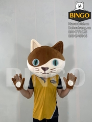 Mascot mèo đầu và bao tay