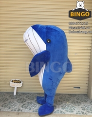 Mascot Con Cá Heo