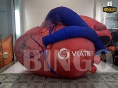 Mô hình hơi trái tim VIATRIS