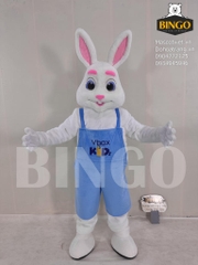 Mascot thỏ VBox Kids