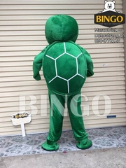 mặt sau mascot rùa xanh