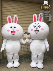 Mascot Thỏ Cony