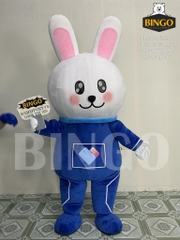 Mascot thỏ và thẻ