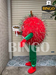 mặt trái Mascot trái Chôm Chôm