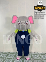 Mascot voi Camp Kids