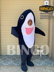 Mascot cá mập  02