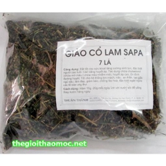 Giảo Cổ Lam Sapa 7 lá