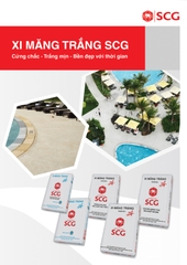 XI MĂNG TRẮNG SCG