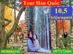 Tour du lịch Hải Phòng Hàn Quốc, du lịch Hải Phòng Hàn Quốc hè 2018