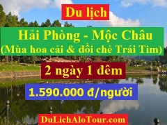 Tour du lịch Hải Phòng Mộc Châu, du lịch Mộc Châu mùa hoa cải 2018