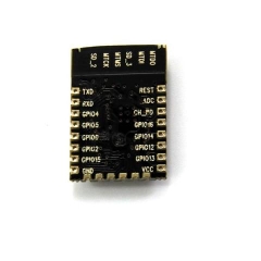 Module Wifi ESP8266 ESP-12E Module Wifi ESP8266 ESP-12E