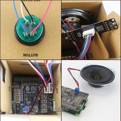 Google AIY Voice Kit for Raspberry Pi Google AIY Voice Kit for Raspberry Pi