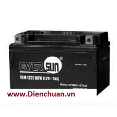 Ắc quy xe máy Eversun TSM1270MFW (12V-7Ah)