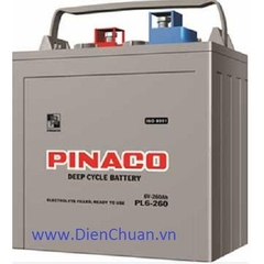 Ắc quy dùng cho xe điện xe golf Pinaco 6V-260Ah PL6-260