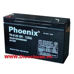 Ắc Quy PHOENIX 6V-12Ah TS6120