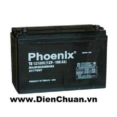 Ắc quy Phoenix 12V-100Ah TS121000