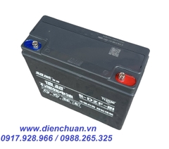 Ắc quy xe máy điện hàng nội địa chất lượng số 1 Trung Quốc- CHILWEE 6-DZF-21 ( 12V-21AH)