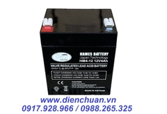 Ắc quy 12V-4Ah HAMES HM4-12