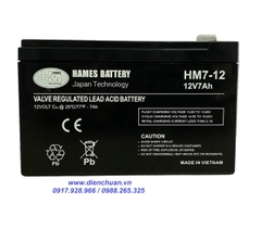 Ắc quy HAMES 12V-7Ah HM7-12