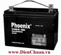 Ắc quy Phoenix 6V 130Ah TS61300