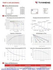 Ắc quy Tianneng TNEP6-240 ( 6V-240AH )