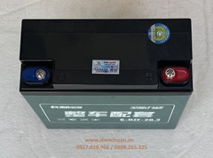 Ắc quy xe máy điện 12V 20.3Ah 6-DZF-20.3 hàng nội địa Trung Quốc