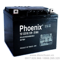 Ắc quy Phoenix 12V-31Ah TS12310