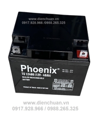 Ắc Quy PHOENIX 12V 40Ah TS12400