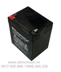 Ắc quy Phoenix 12V 5Ah TS1250