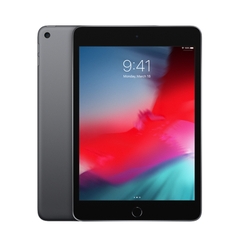 iPad Mini 5 Gray 64GB Wifi 97%