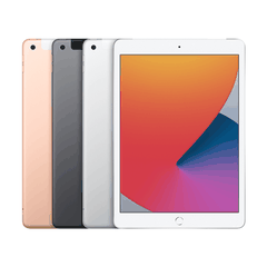 iPad 10.2'' (Gen 8) 128GB LTE