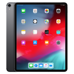 iPad Pro 12.9 inch Gray 256GB